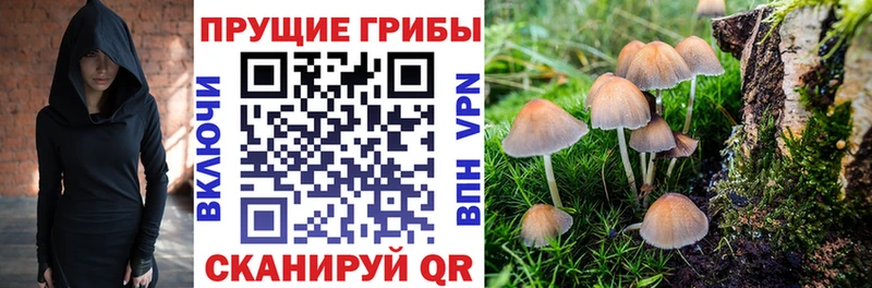 Купить закладки  Прокопьевск  Галлюциногенные грибы GOLDEN TEACHER 