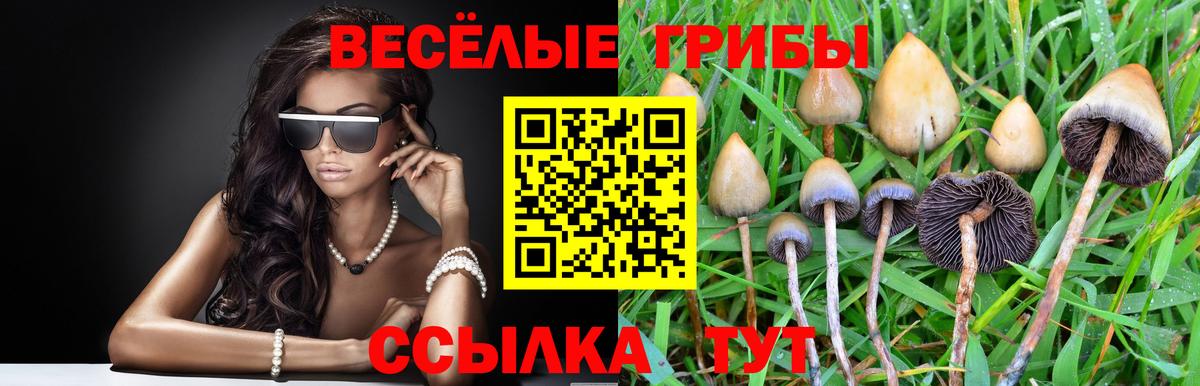 Галлюциногенные грибы Cubensis  Вход с VPN  Псилоцибиновые грибы прущие грибы  Прокопьевск 