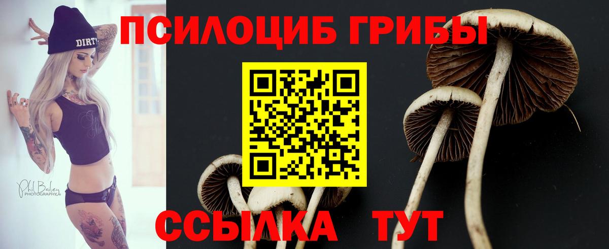 Галлюциногенные грибы MAGIC MUSHROOMS Прокопьевск