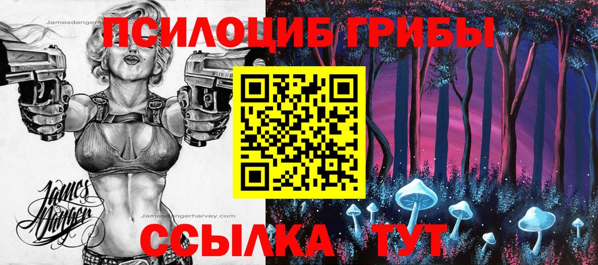 Галлюциногенные грибы MAGIC MUSHROOMS Прокопьевск